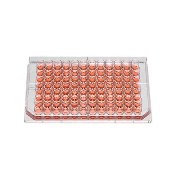 Thermo Scientific Nunc 167425 Microplates with Lid, 96-Well, Polystyrene, Sterile, Nunclon™ Treated; 50/Cs