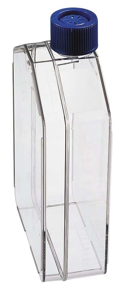 Thermo Scientific Nunc 178883 Cell Culture Flask, Polystyrene, Sterile, Treated, Straight Neck, Filter Cap, 175 cm2; 32/Cs