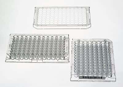 Thermo Scientific Nunc 269620 Collection Plate for Silent Screen Plates
