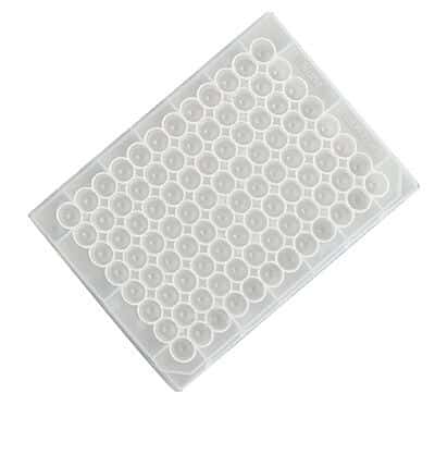 Thermo Scientific Nunc 276000 Microplate Cap Mat, 96-Well, TPE, Sterile; 50/Cs