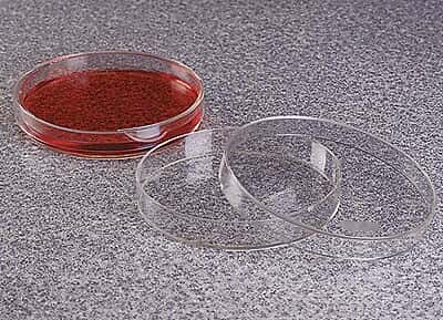 Thermo Scientific Nalgene 5500-0010 Petri Dishes, Polymethylpentene, 100 x 15 mm; 10/Pk