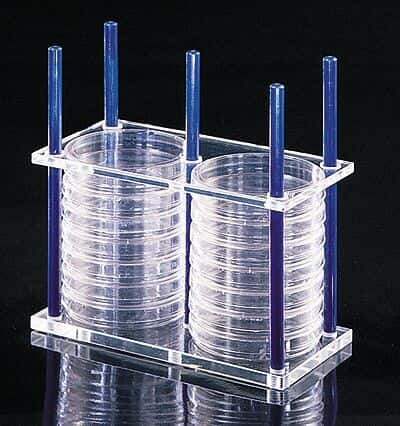 Thermo Scientific Nalgene 5922-0024 Petri Dish Rack, Acrylic, Hold 24 x 100 mm Dishes