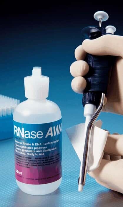 Thermo Scientific RNase Surface Decontaminant, 250 mL Bottles; 12/CS