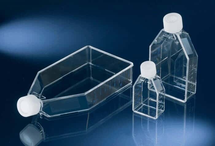 Thermo Scientific Nunc EasyFlask™ Cell Culture Flask