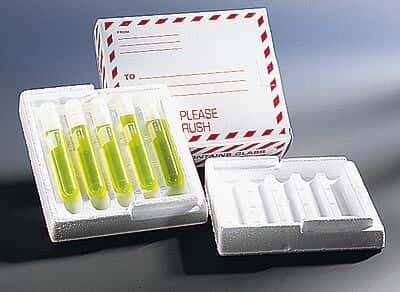 ThermoSafe 365 Shipping Container/Carton for 03727-01