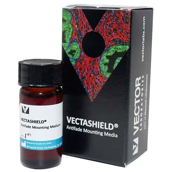 Vector Laboratories VECTASHIELD Antifade Mounting Medium, 10 ml from
