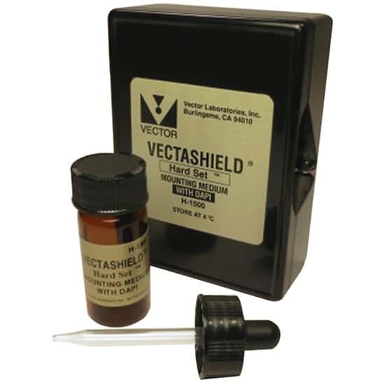 Vector Laboratories VECTASHIELD® Antifade Mounting Medium with PI, 10
