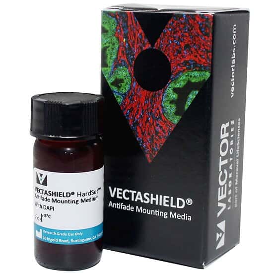 Vector Laboratories VECTASHIELD® Hardset Antifade Mounting Medium with