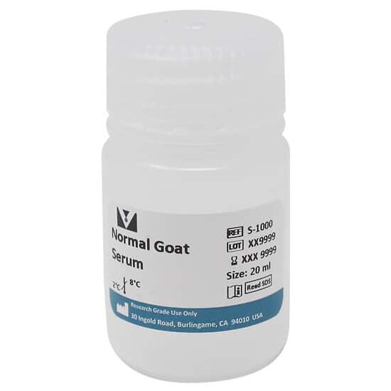 Vector Laboratories S1000 Normal Goat Serum, concentrated; 20 mL from
