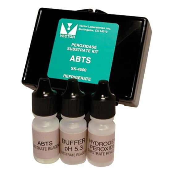 Vector Laboratories SK4500 ABTS Substrate Kit, Green, 300 ml from Cole