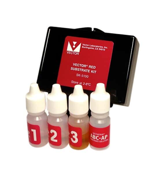 Vector Laboratories SK-5100 Red Substrate Kit, Magenta, 200 ml