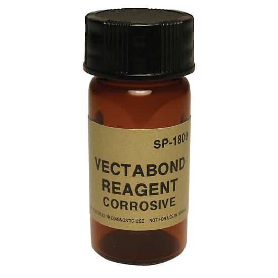 Vector Laboratories Vectabond Tissue Section Adhesive, 7 ml from ColeParmer