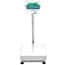 Adam Equipment AGF 1320a Industrial Floor Scale, 1320 lb / 600 kg x 0.05 lb / 0.02 kg, 23.6" x 31.5"  Platform