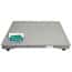 Adam Equipment PT 310-10S [AE403a] PT Industrial Washdown Weighing Base with AE403 Indicator, 10000lb/4500kg  x  2lb/1kg, 39.4" x 39.4" Stainless Steel Platform