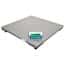 Adam Equipment PT310-5S(AE403) PT Industrial Washdown Weighing Base with AE403 Indicator, 5000lb/3000kg  x  1lb/0.5kg, 39.4" x 39.4" Stainless Steel Platform