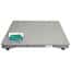 Adam Equipment PT 312-5S [AE403a] PT Industrial Washdown Weighing Base with AE403 Indicator, 5000lb/3000kg  x  1lb/0.5kg, 47.2" x 47.2" Stainless Steel Platform