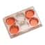 Cole-Parmer Cell and Tissue Culture Plates with Lid, Sterile, Polystyrene, Treated, 6-Well; 100/CS
