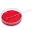 Cole-Parmer Nichrome Inoculating Loops without Handle, Calibrated, 10 uL, 4 mm ID; 5/PK