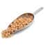 Cole-Parmer Lab Sampling Scoops, Stainless Steel, 500 mL (16.9 oz)