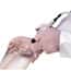 Cole-Parmer EVac™ Hand Operator with Single Channel Adapter