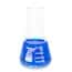 Cole-Parmer Glass Erlenmeyer Flasks, Graduated, Heavy Rim, 25 mL (0.85 oz); 24/Pk