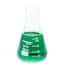 Cole-Parmer Glass Erlenmeyer Flasks, Graduated, Heavy Rim, 50 mL (1.7 oz); 12/Pk