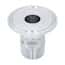 Cole-Parmer Fitting, 316L Stainless Steel, Straight, Sanitary Clamp to Threaded Adapter, 3/4" Clamp x 1/4" NPT(M); 1/Each