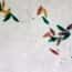 Cole-Parmer Prepared Slide, Mixed Protozoa