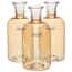 Environmental Express Eco-Conscious Single-Use BOD Bottles, 300 mL; 100/PK