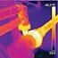Flir T530-42 Professional Thermal Imaging Camera; MSX/42 Degree Lens, 320 x 240, -20 to 650°C