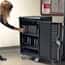 Luxor LLTM30-B 30-Tablet/Chromebook Charging Cart, Black