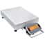 Ohaus i-D33P300B1X5 Defender® 3000 Scale, Front Mount ABS Indicator, 25.6" x 19.7" Base, 300 kg x 50 g; 100-240 VAC, 50/60 Hz