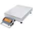 Ohaus i-D33P300B1X5 Defender® 3000 Scale, Front Mount ABS Indicator, 25.6" x 19.7" Base, 300 kg x 50 g; 100-240 VAC, 50/60 Hz