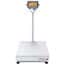 Ohaus D33XW150C1X7 Defender® 3000 Washdown Scale, Column-Mount SS Indicator, 25.6"x19.7" Platform, 150kg x 20g