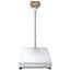 Ohaus D33XW300B1V3 Defender® 3000 Hybrid Bench Scale, Column-Mount SS Indicator, 31.5"x23.6" Platform, 300kg x 50g