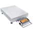 Ohaus D33XW300B1X5 Defender® 3000 Hybrid Bench Scale, Front-Mount SS Indicator, 25.6"x19.7" Platform, 300kg x 50g