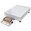 Ohaus D33XW300C1X5 Defender® 3000 Washdown Scale, Front-Mount SS Indicator, 25.6"x19.7" platform, 300kg x 50g