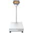 Ohaus D33XW75C1L7 Defender® 3000 Washdown Scale, Column-Mount SS Indicator, 21.7"x16.5" Platform, 75kg x 10g