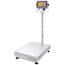 Ohaus D33XW75C1L7 Defender® 3000 Washdown Scale, Column-Mount SS Indicator, 21.7"x16.5" Platform, 75kg x 10g