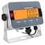 Ohaus i-DT33XW Defender® 3000 Indicator, Washdown, Stainless Steel; 100-240 VAC, 50/60 Hz