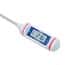 Traceable Digital Pocket Thermometer, 250°C (482°F), 11.5"L Stem