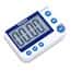 Traceable Flashing LED Big-Digit Timer; Single-Channel
