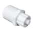 Value Plastics Luer to Threaded Fitting, Straight Adapter, Polypropylene, Male Luer Integral Lock Ring 7/16" Hex x 1/8-27 NPT(M) Thread; 25/Pk