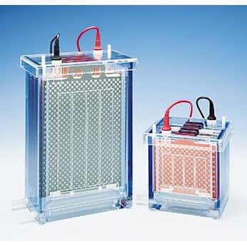 Cole-Parmer Electrophoretic Blotting Systems 16108