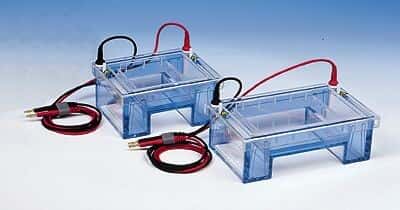 Cole-Parmer Horizontal Mid-Size Gel Systems