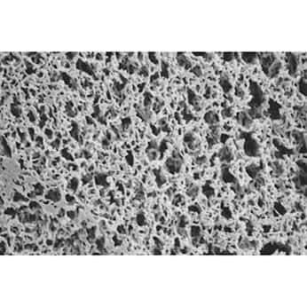 Cole-Parmer® Nylon Membrane Filters