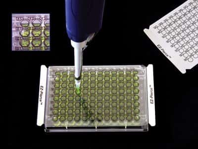 Excel Scientific AlumaSeal Sealing Film
