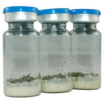 NSI Lab Solutions Quantitative Hemp Microbiology PT Express™ Cultures