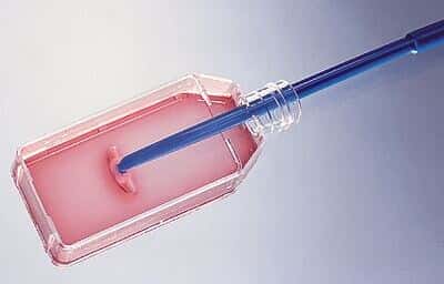 Lgbt freedom essay image