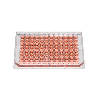 Thermo Scientific™ Nunc™ Edge™ Sterile 96-Well Microplates